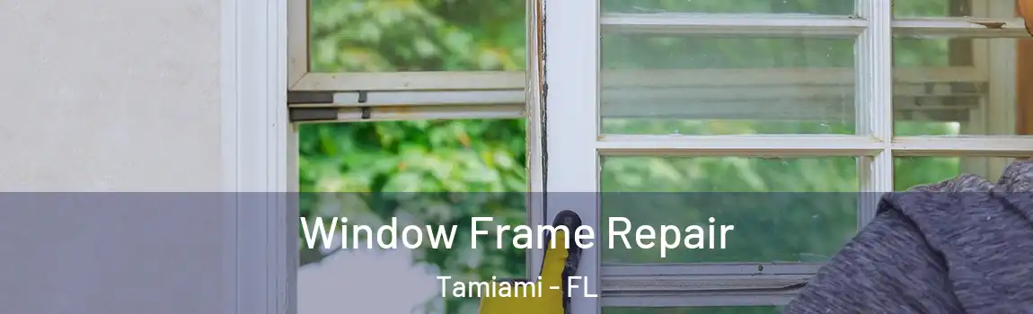 Window Frame Repair Tamiami - FL