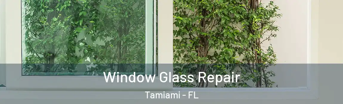 Window Glass Repair Tamiami - FL