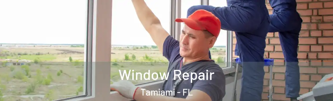 Window Repair Tamiami - FL